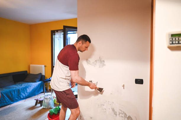 Professional Mold Removal in Ambler, PA